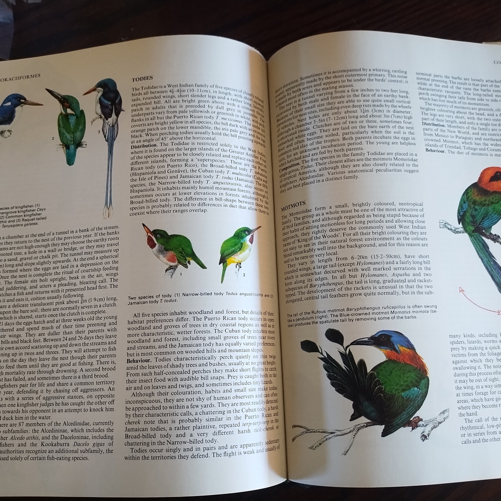 Birds:‎ Their Life, Their Ways, Their World Book - Picture 4 of 4